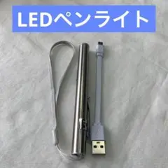 LEDペンライト  USB 充電式 小型 ミニ 懐中電灯 防災 wb-0894