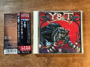 DD-9874 ■送料無料■ Y&T ブラックタイガー +1 ハードロック ヘヴィメタル CD 音楽 MUSIC /くKOら