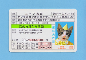 なめんなよ　なめ猫　免許証　復刻版　ニャン太郎　グリーン