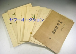 稀少 多色石版刷 大正3年初版 竹類圖譜 彩色石版画 101枚揃　検索 版画 リトグラフ 木版画 植物 和本 唐本