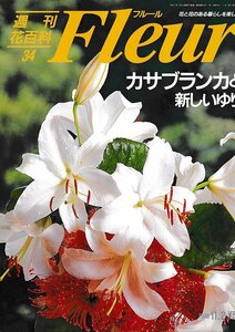 ■送料無料■Y21■週刊花百科　Fleur　フルール　No.34　カサブランカと新しいゆり■（概ね良好）