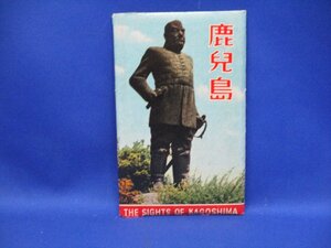 絵葉書 未使用　昭和 レトロ 　鹿児島　西郷隆盛　第5種郵便　　１１枚袋 　　昭和30-40年ごろ 110427