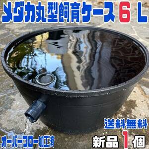 ★睡蓮鉢メダカ飼育ケース１個 ６Lオーバーフロー加工済★ メダカ飼育容器金魚飼育めだか飼育ビオトープゾウリムシPSB台風豪雨対策にどうぞ