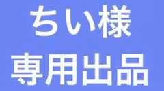 ちい様専用出品