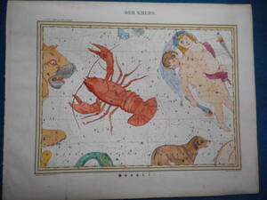 即決　アンティーク、天文、星座早見盤、手彩色石版画、1835年『ホッフマン星図かに座ふたご座他』Star map, Planisphere, Celestial atlas