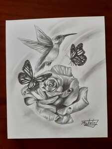 鉛筆画　ハチドリとバラの花とチョウ