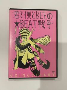 DVD★GOING STEADY『君と僕とBEEのBEAT戦争』ゴーイングステディ・ゴイステ ex.銀杏BOYZ 峯田和伸