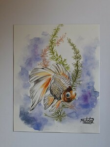 水彩画　金魚