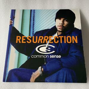 COMMON SENSE / RESURRECTION / USオリジナル / d