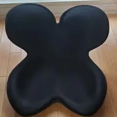 MTG 骨盤サポートチェア Body Make Seat Style イス