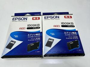 EPSON エプソン 純正インクカートリッジ　 IB09KB　ブラック 大容量×2 期限有り：2025/26 　パッケージ破損品（＃A177