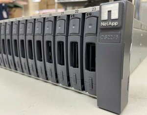 ◎　NetApp Ds2246 Disk Array 24*900GB SAS 12Gbps (F01079)