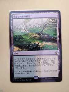 マジック・ザ・ギャザリング MTG★吹きさらしの荒野★248/269 R★タルキール覇王譚 KTK★数量3