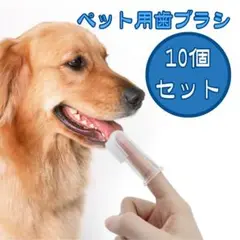 ペット 歯ブラシ ペット用品 犬 猫 シリコン製 10個セット 歯のお手入れ
