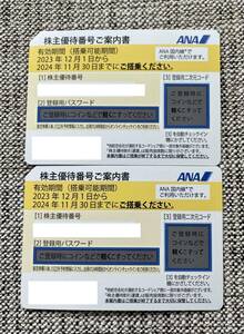 全日空 ANA 株主優待券 2枚 有効期限2024年11月30日 