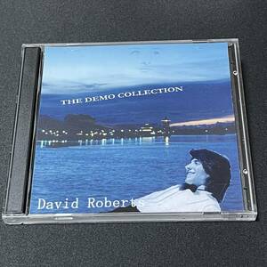 ☆彡レア音源集/2枚組◆メロハー,AOR◆DAVID ROBERTS/THE DEMO COLLECTION