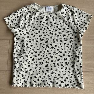 ZARA ザラ購入 花柄リブショート丈Tシャツ 半袖Tシャツ サイズ10 140 130サイズ相当 中古 春夏服