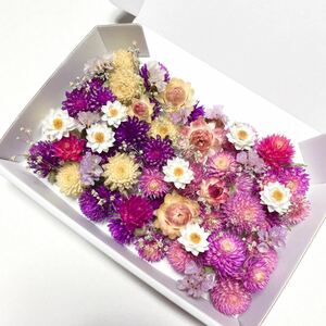 ■送料込み■ 千日紅 スターチス かすみ草 花かんざし ドライフラワー ハンドメイド ハーバリウム 花材　ガーランド リース ヘリクリサム