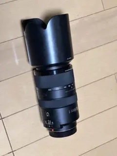 SONY E 70-300mm F4.5-5.6 G SSM SAL70300G