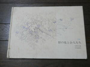 ■画集　野の花と小人たち　安野光雅　1980年　岩波書店　　*S502