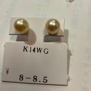 k14WGあこや真珠ライトゴールデンピアス〔8×8.5 
