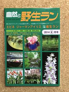 自然と野生ラン 2014年4月号　エビネ 富貴蘭 長生蘭 ※ 園芸JAPAN