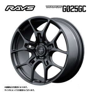 送料無料 レイズ VOLK RACING G025GC 9J-22 +45 5H-114.3 (22インチ) 5H114.3 9J+45【4本セット 新品】