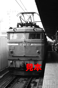 鉄道写真、35ミリネガデータ、01828160024、EF80-27＋12系、団臨普通筑波号、上野駅、1983.04.04、（2688×1782）