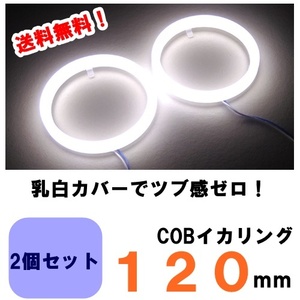 COB　イカリング　１２０ｍｍ　２個セット　白/ホワイト　乳白カバー　送料無料