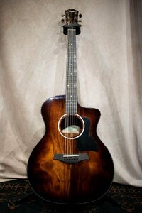 ♪TAYLOR 224ce-K DLX テイラー エレクトリックアコースティックギター エレアコ ☆D 0401