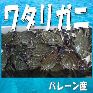 3【ご家庭に・贈答用に】バーレーン産 ワタリガニ約７.５kg お歳暮 お年賀 高級 ギフト 贈り物 景品 内祝 手土産 大量 賞品 お正月 御歳暮