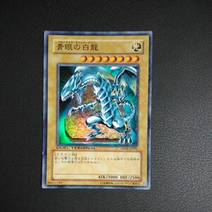 遊戯王　傷汚れ有り　青眼の白龍