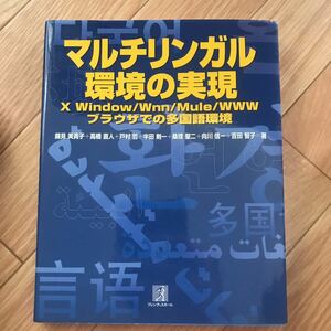 マルチリンガル環境の実現 X Window / Wnn / Mule / WWWブラウザでの多国語環境 錦見美貴子, 高橋直人, 戸村哲, 他 著 初版第1刷 その2