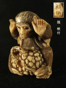 【1066】提げ物（検＝印籠・お締め）江戸〜コレクター買取品/牙　銘＝利国　猿　根付 (初品　買取品)