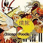 僕旅 Chicago Poodle