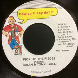 BRIAN & TONY GOLD / PICK UP THE PIECES