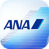 ANA 90000マイル 2日程度で加算 クレカOK マイレージ マイル数指定可 全日空 9万