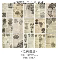 【送料無料】素材紙　レトロ　花　英字　新聞風　デコレーション　手帳