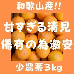 きよみオレンジ 百貨店では買えない 甘すぎる B級 ほとんど無農薬 みかん 3kg 和歌山県産