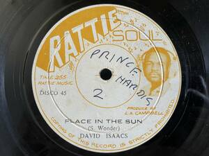 DAVID ISAACS / PLACE IN THE SUN & RIGHT TRACK LOVERS REGGAE 12 HIT SOUL カバー　試聴