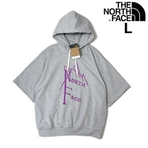 1円～!売切!【正規新品】THE NORTH FACE SHORT SLEEVE 1966 HOODIE パーカー US限定 立体ロゴ 裏起毛 上質 男女兼用(L)グレー 181130-33