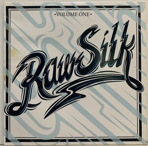 極上アーバン・シンセ・ファンク ☆ Various - Raw Silk Volume One /Omega Supreme /Benedek / sasac /Dam Funk