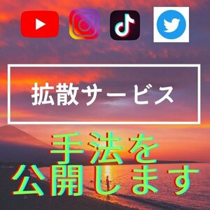 ★土日限定価格★【TikTok】拡散サービスの手法販売【再生回数・フォロワー・いいね】【Twitter・Instagram・TikTok・YouTube対応】