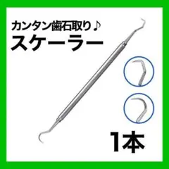 歯石取り スケーラー 1本 ヤニ デンタルオーラル ステンレス　デンタル ペット