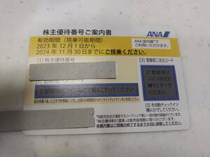 ANA株主優待券　全日空株主優待券　2024年11月30日まで有効　1枚