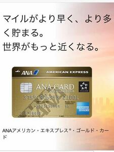 【正規紹介】ANAアメリカンエキスプレスゴールドカード 特典 110,000マイル アメックス AMEX 審査緩 ブラック 外国籍 低収入 主婦 歓迎