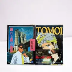 眠れる森の美男、TOMOI  著者:秋里和国