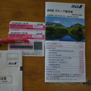 ネコポス送料込【最新版】ＡＮＡ全日空株主優待券２枚＋グループ優待券クーポン冊子１冊