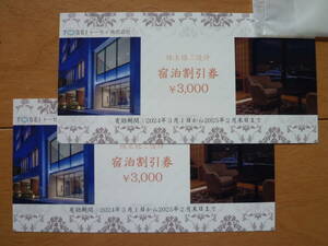 TOSEI トーセイホテル株主優待券６０００円