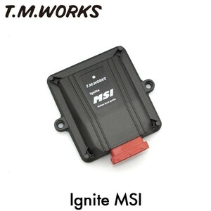 T.M.WORKS イグナイトMSI デミオ DE5FS ZY-VE 2007/07～2014/08